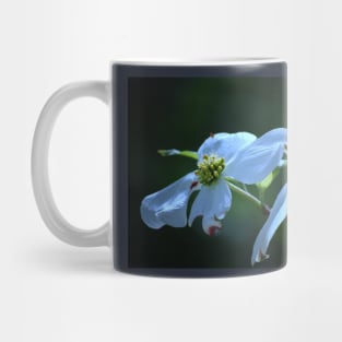 Dogwood Blossom Mug